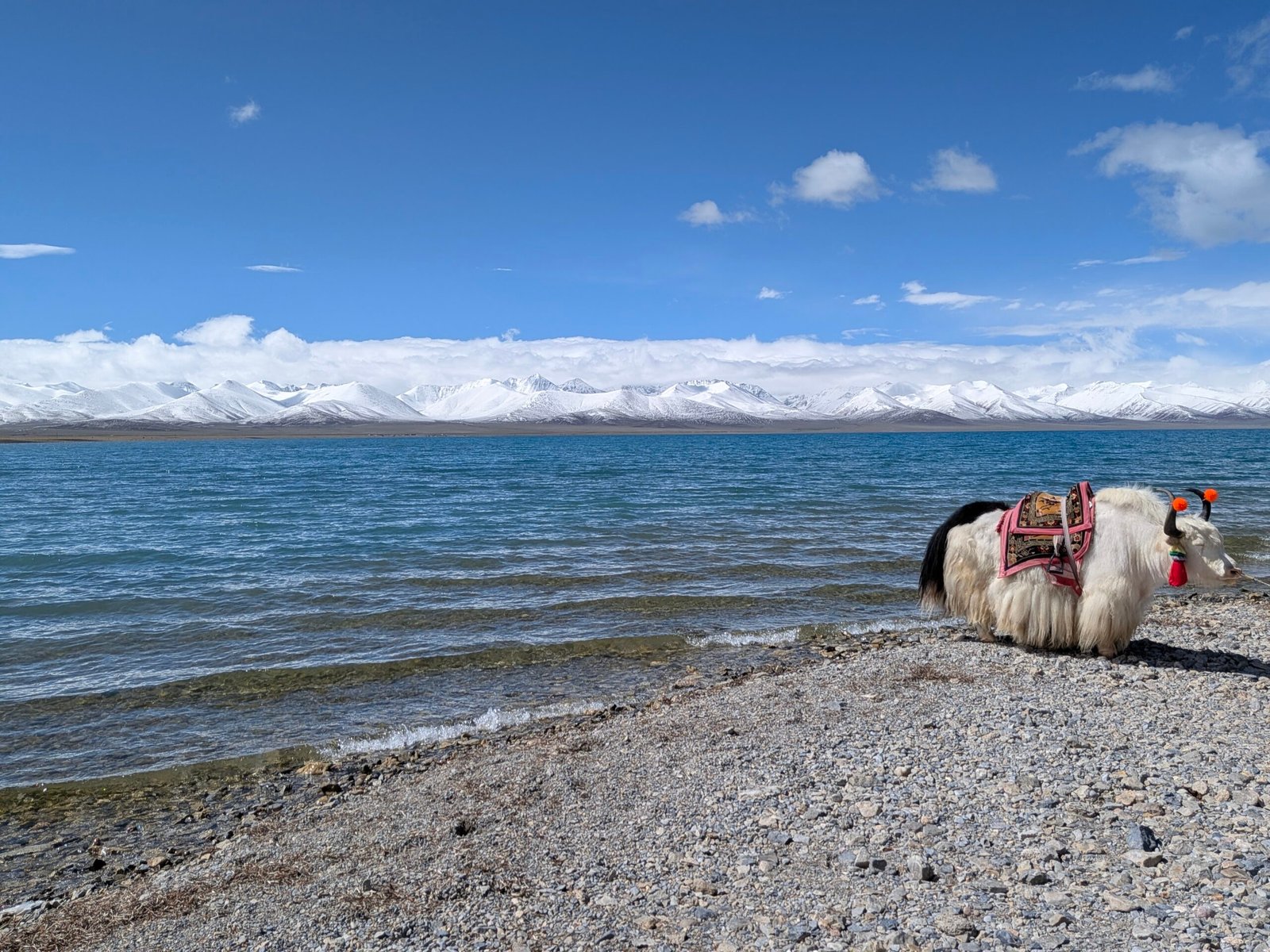 lac-namtso-voyage-tibet